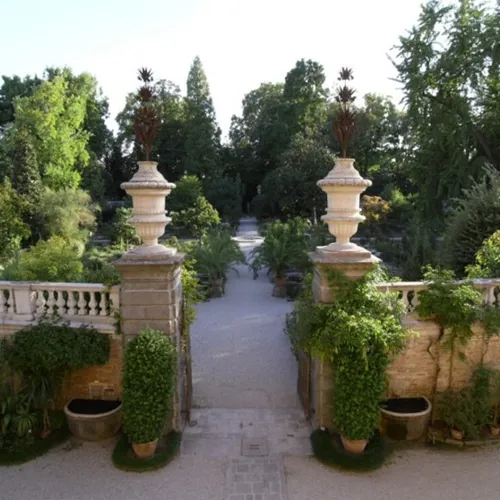 Ботанічний сад  та університет  Падуї, Італія