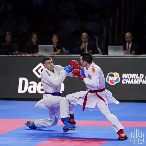 Karate World Championship