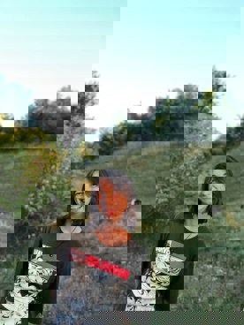 5380041048069365984
